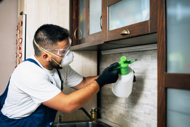 Best Local Pest Control Services  in New Hartford Center, CT