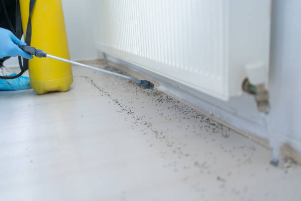 Best Best Pest Control Companies  in New Hartford Center, CT